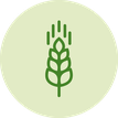 glutenfrei; Gluten; Weizengluten; Zöliakie