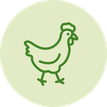 vegan; vegetarisch; Ei; Eiweiß