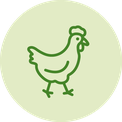 vegan ohne tierische Erzeugnisse