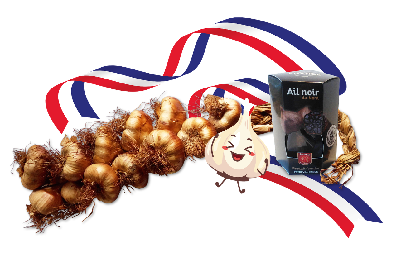 Knoblauch; geräuchert; Nordfrankreich; Frankreich; Arleux; geräucherter Knoblauch; ail fume; ail fumé