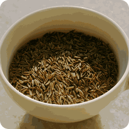 Cumin ganz
