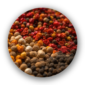 Pfeffer; Pefferkörner; Bunter Pfeffer; Szechuan; Kampott; Malaba; Telly Cherry; schwarz; grün; rot