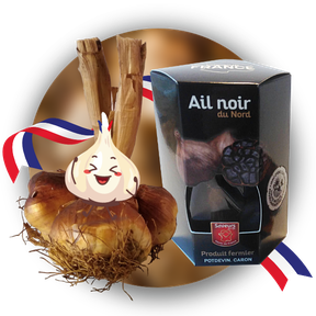 Knoblauch; geräuchert; schwarzer; schwarz; Frankreich; Arleux