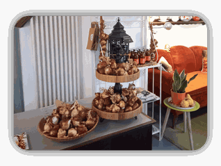 Genuss-Laden; Knoblauch; Gewürzladen; Freudenberg; 